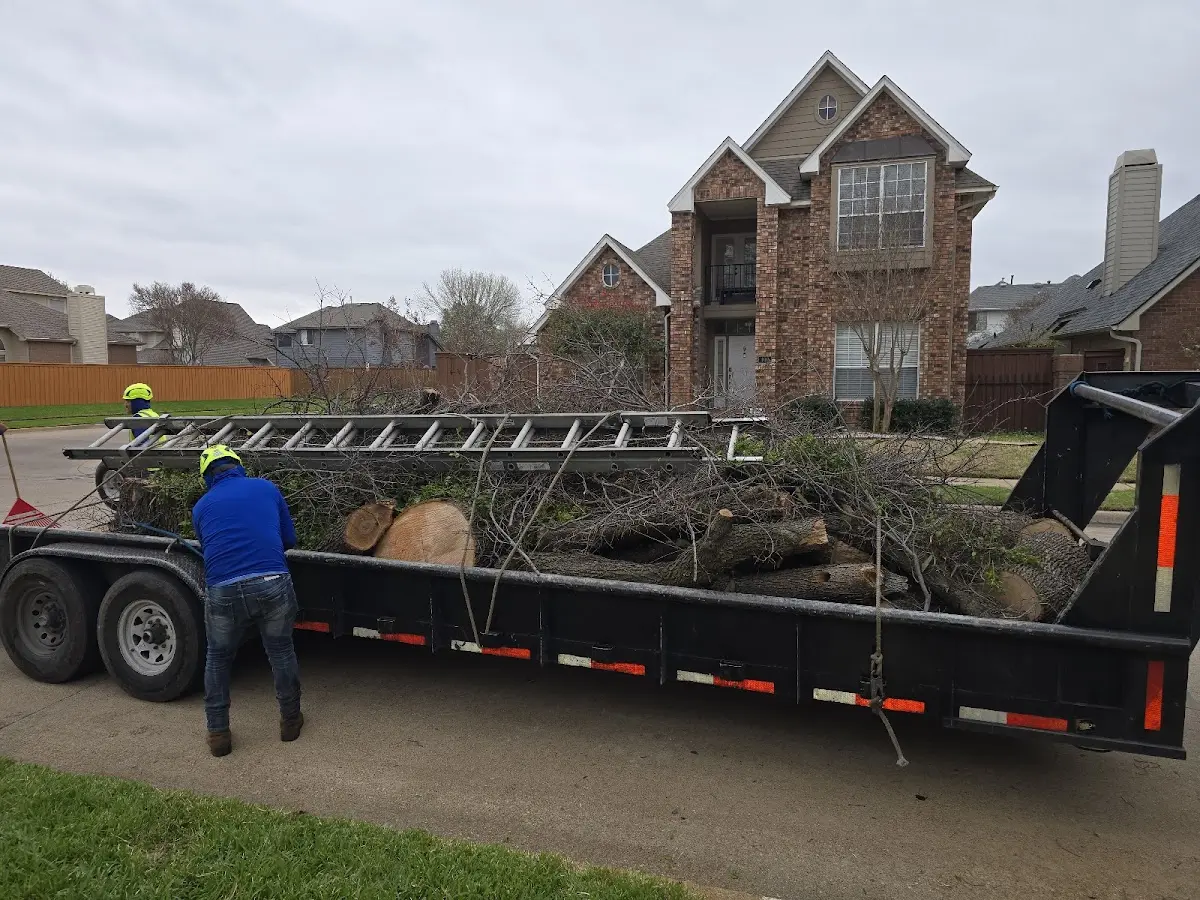Expert Lot Clearing with proper safety equipment in Perdido